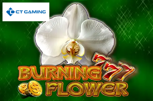 Burning Flower